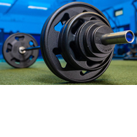 InTek Strength Kraft Steel Cast Olympic Plates Made in USA