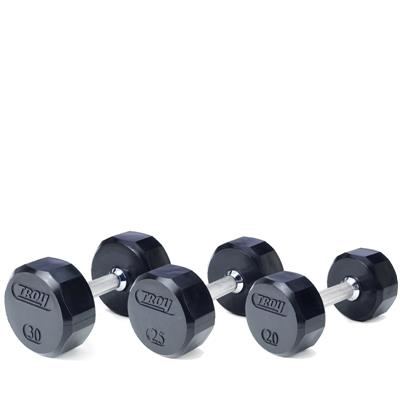 Troy Rubber Encased 12 Sided Dumbbells Troy Rubber Encased 12 Sided Dumbbells