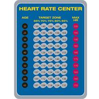 Body-Solid Endurance E5000 Premium Elliptical Trainer