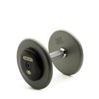 IVANKO R-EP 1.25B Cast-Iron Plate w/Black End Plate Dumbbells