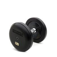 IVANKO RUB-EPR Rubber-Encased Cast-Iron Plate w/Rubber End Plate Dumbbells