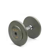  IVANKO R-EP 1.25 Cast-Iron Plate w/Ductile Cast-Iron End Plate Dumbbells