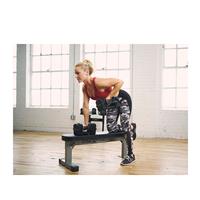 PowerBlock Travel Weight Bench