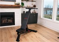 PowerBlock PowerBench 2.0 Dip Attachment