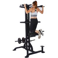 Powertec LeverGym Chin Dip Assist