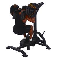 Powertec LeverGym Squat / Calf
