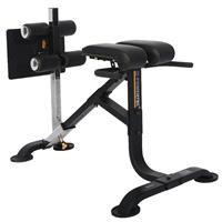 Powertec Dual Hyperextension Crunch