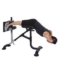 Powertec Dual Hyperextension Crunch