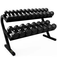 Troy Barbell VTX T-DR Two Tier Horizontal Dumbbell Rack