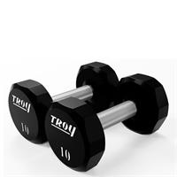 Troy Urethane 12 Sided Dumbbells