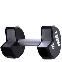 Troy Urethane 12 Sided Dumbbells