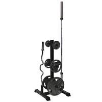 Troy VTX Vertical Olympic Bumper Plate and Bar Rack