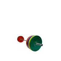 Troy VTX Bumper Plate Weight Set