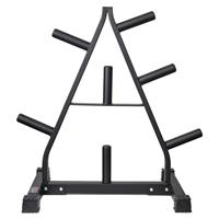 York Olympic A Frame Weight Plate Tree