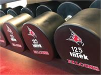 InTek Strength Armor Series Solid Urethane Dumbbells